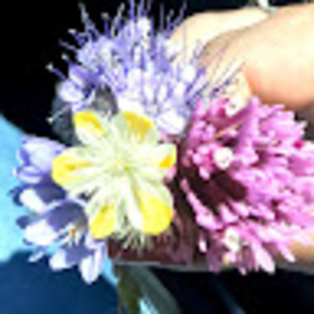 Meet your Posher, Melinda